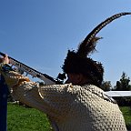 EST2024 Das Schießen (220)