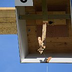 EST2024 Das Schießen (291)