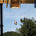 EST2024 Das Schießen (508)