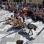 EST2024 Der Festzug (104)