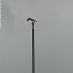 Bild241