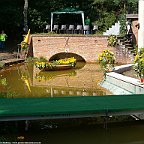 Bild433