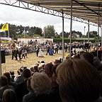 DSCN6176