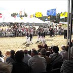DSCN6289