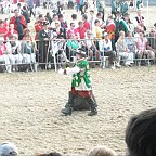 DSCN6507