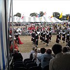 DSCN6508