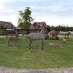 IMG 3185