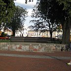IMG 2740