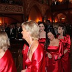 IMG 5286