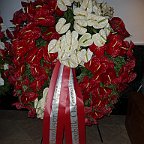 P1080261