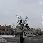 IMG 4009