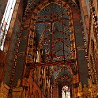 IMG 4037
