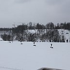 IMG 4296