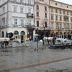 IMG 4455