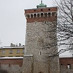 IMG 4464