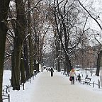 IMG 4466