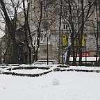IMG 4467