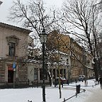 IMG 4469