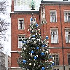 IMG 4477