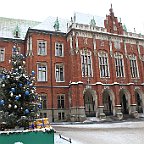 IMG 4478