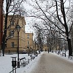IMG 4481