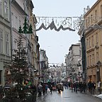 IMG 4495