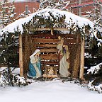 IMG 4326
