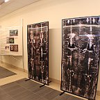 IMG 4411