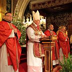 IMG 4161