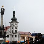 00446