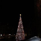 IMG 2517
