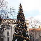 IMG 2520