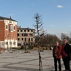 IMG 2536