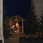 IMG 2564