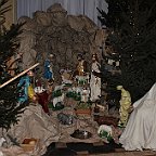 IMG 2698