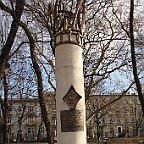 IMG 2709
