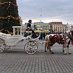 IMG 2751