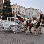 IMG 2752