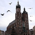 IMG 2755