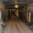IMG 3132