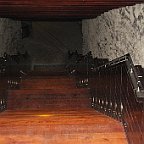 IMG 3239