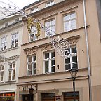IMG 3253