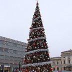 IMG 3265
