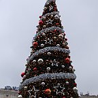 IMG 3266