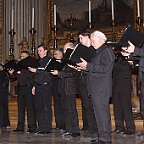 IMG 6019