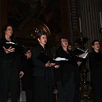 IMG 6029