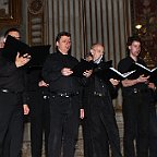 IMG 6036