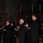 IMG 6043