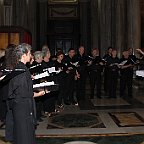 IMG 5929