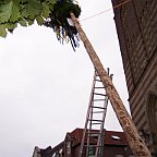 100 7273